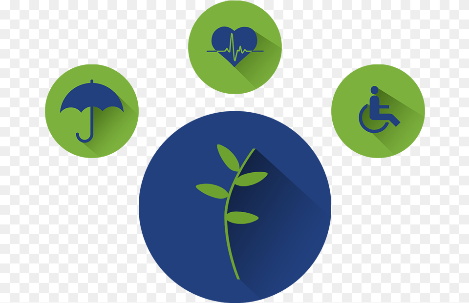 Insurance Services, Leaf, Plant Png Image