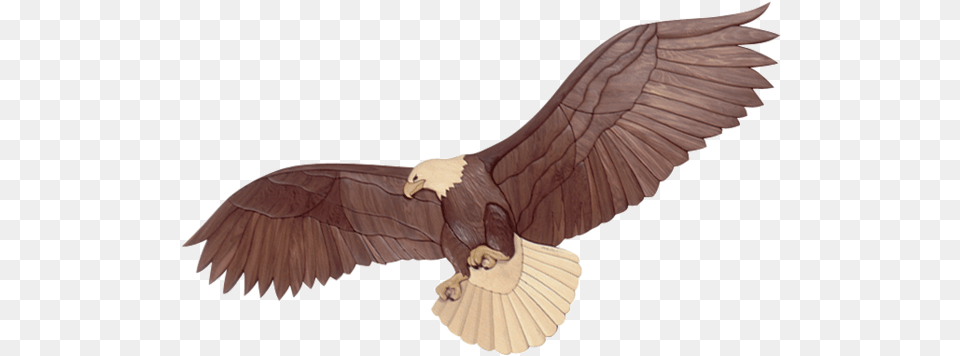 Intarsia Woodworking Pattern Of A Bald Eagle In Flight Scroll Saw Projects Eagle, Animal, Bird, Flying, Bald Eagle Png Image