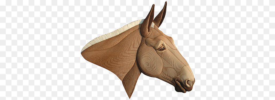 Intarsia Woodworking Pattern Of A Mule Intarsia, Animal, Mammal, Person Free Png