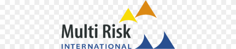 Integrated Solutions For A Resilient Organization Country Risk Evaluation Methods And Applications Book, Logo, Adult, Male, Man Free Transparent Png