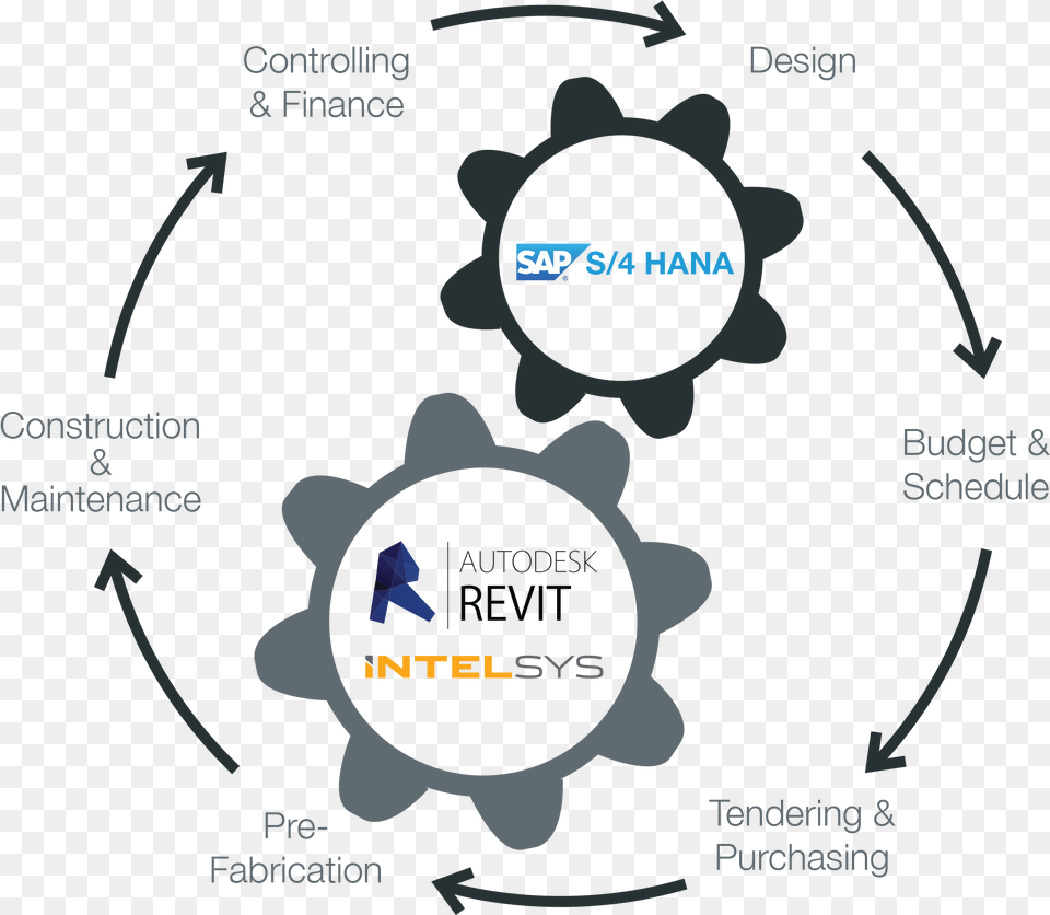 Intelsys Revit Integration With Sap Provides An End End To End Sap Solution, Animal, Bear, Mammal, Wildlife Png Image