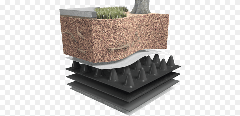 Intensive Green Roof Systems, Vase, Pottery, Potted Plant, Planter Free Transparent Png