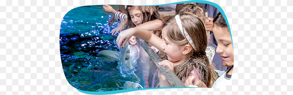 Interactive Exhibits Seaquest Aquarium Fort Worth, Child, Female, Girl, Person Png Image