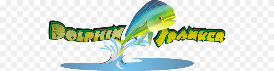Interactive Media Services Webmaster, Animal, Fish, Sea Life, Tuna Png