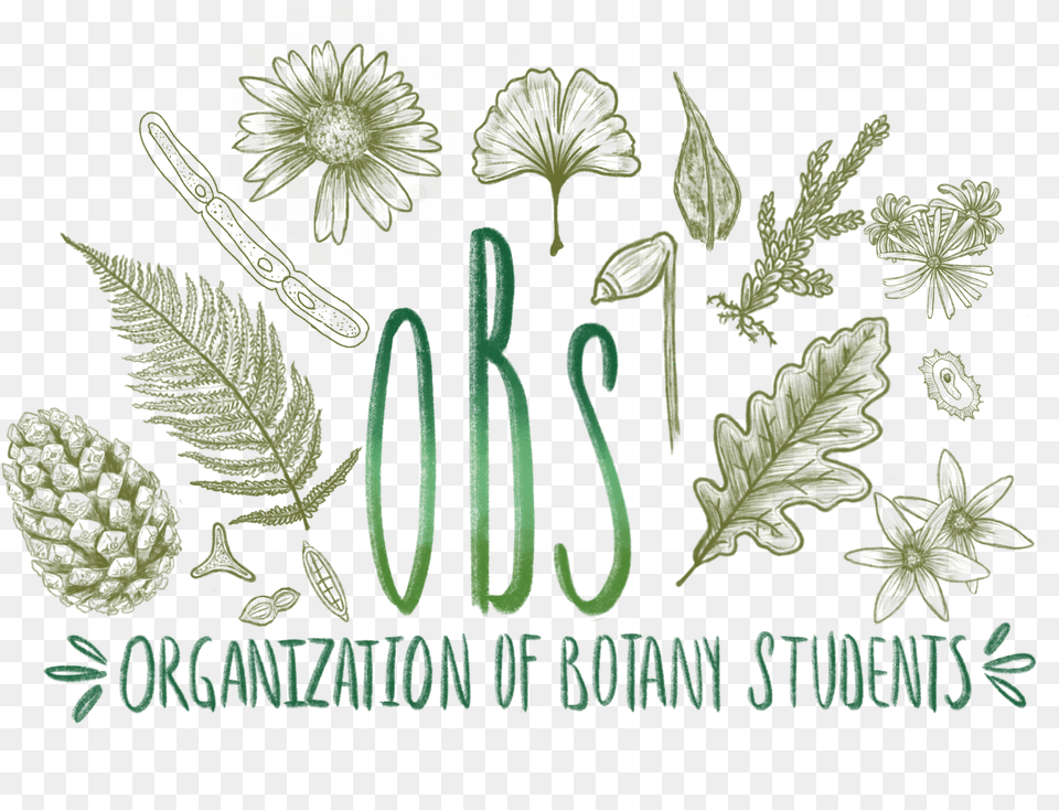 Interdepartmental Science Students Society Drawing, Green, Plant, Herbal, Herbs Png Image