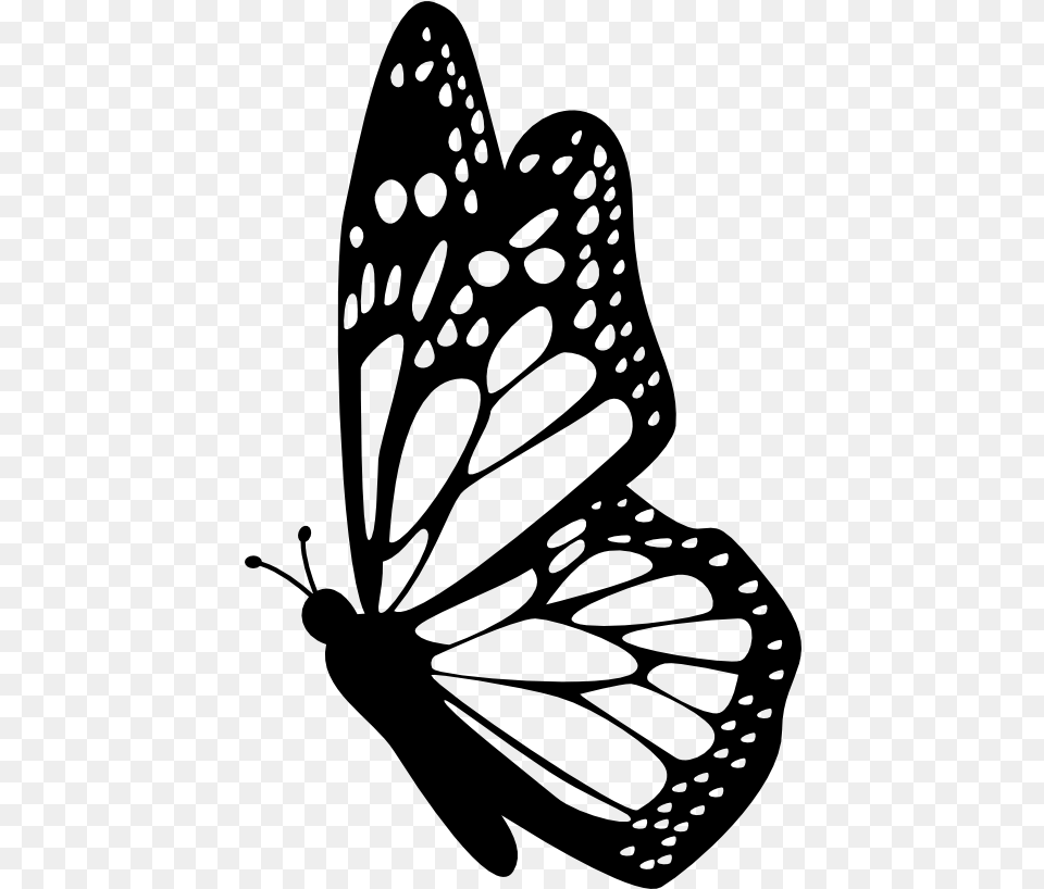 Interesting Facts About Butterflies Butterfly Black And White, Gray Png Image