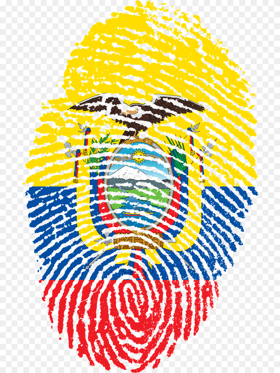 Interesting Facts About Ecuador Flag Huella Venezuela, Adult, Female, Person, Woman Png Image