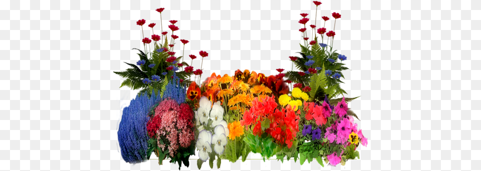 Interesting Plants With Flowers, Flower, Flower Arrangement, Flower Bouquet, Geranium Free Png