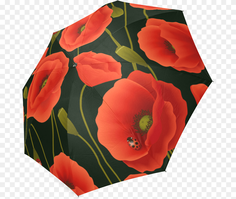 Interestprint Stylish Poppies Poppy Flower Foldable, Canopy, Umbrella, Plant, Rose Png Image