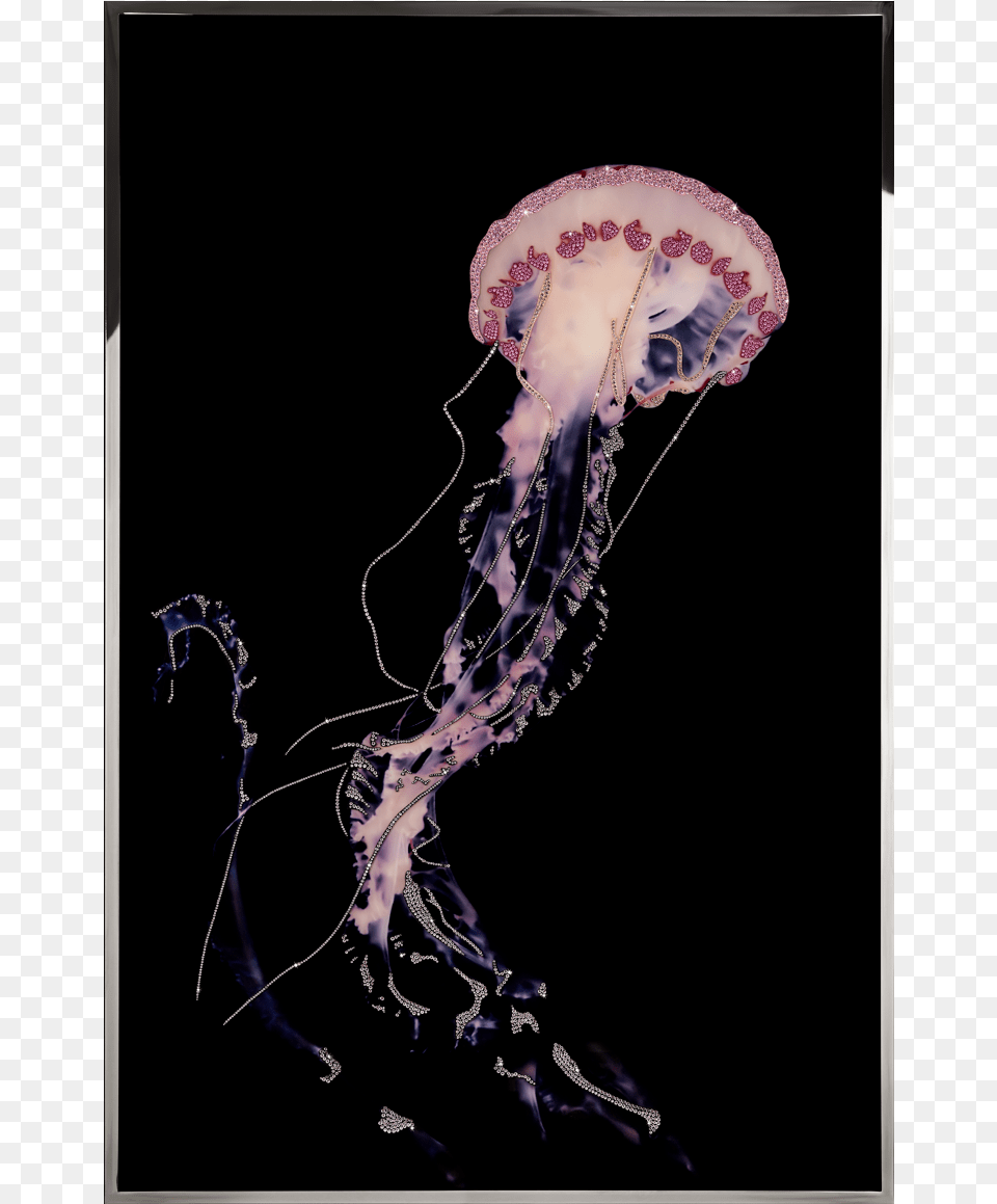 Interior Design, Animal, Invertebrate, Jellyfish, Sea Life Png Image