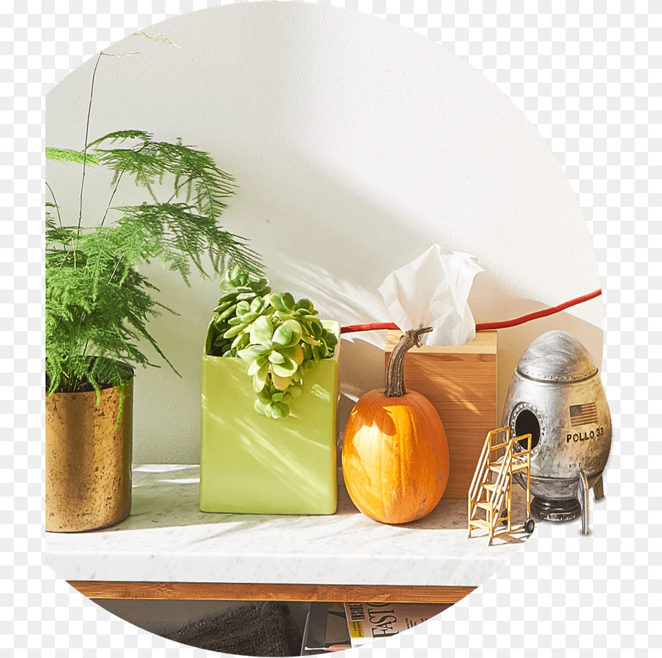 Interior Design, Plant, Potted Plant, Pumpkin, Produce Free Transparent Png