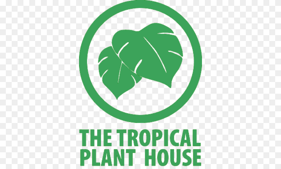 Interior Plant Design Sacramento Ca The Tropical Plant House, Green, Leaf, Vegetation, Logo Free Transparent Png