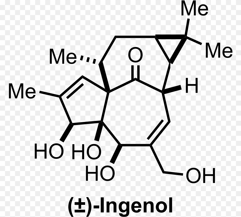 Intermediate Structure Png Image