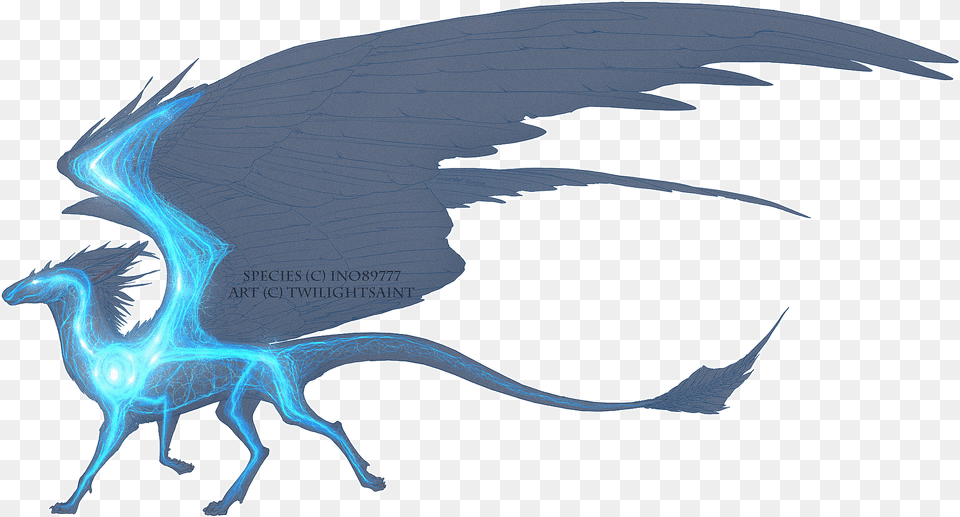 Internal Features Dragon, Animal, Dinosaur, Reptile Free Png