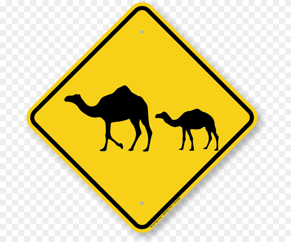 International Antarctic Centre, Sign, Symbol, Road Sign, Animal Free Transparent Png