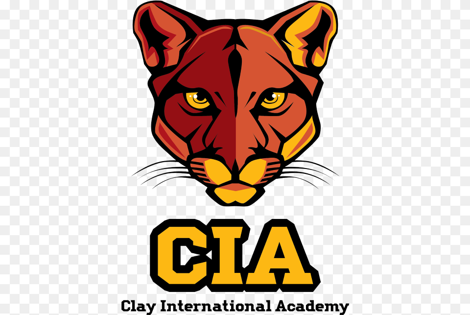 International Baccalaureate Programme Candidacy Clay International Academy, Advertisement, Poster, Baby, Person Free Png