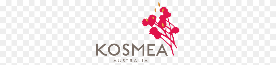 International Countries Kosmea Ship Products To Kosmea, Art, Flower, Graphics, Petal Free Transparent Png