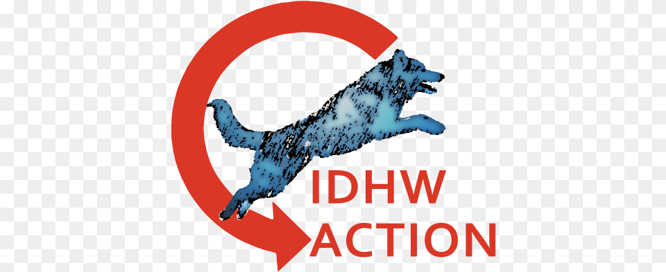 International Dog Health Workshops Dog Catches Something, Animal, Bear, Mammal, Wildlife Free Png