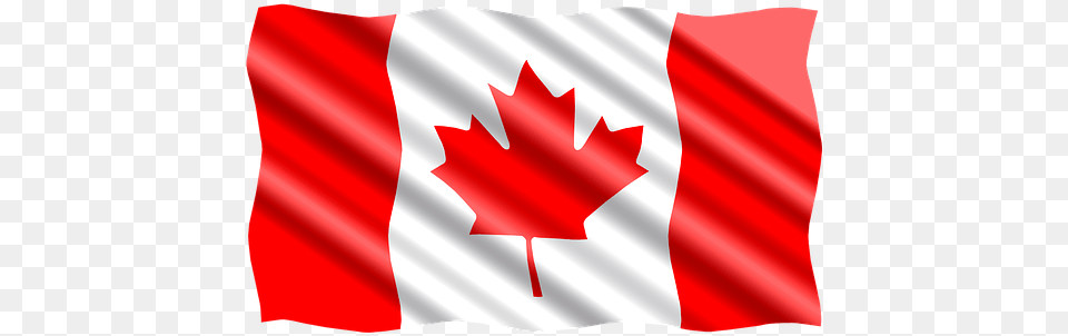 International Flag Canada Bendera Kanada, Leaf, Plant, Dynamite, Weapon Free Png