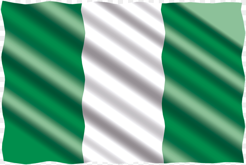 International Flag Nigeria Photo Facts About Nigeria, Green, Person Png