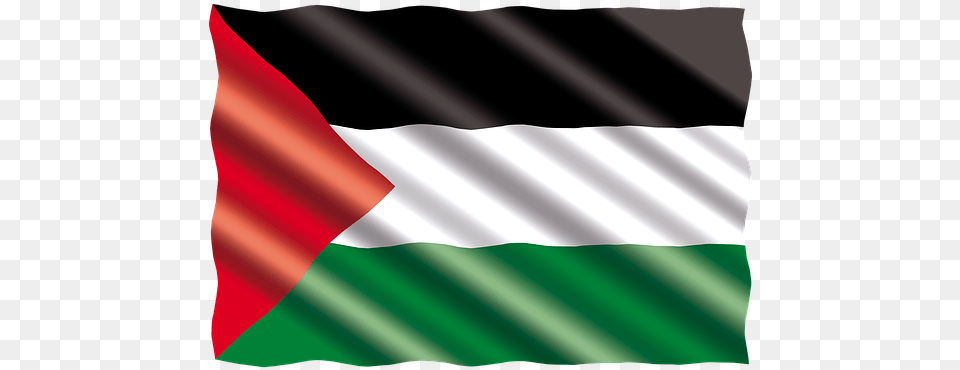 International Flag Palestine Bendera Palestina Dan Indonesia, Appliance, Blow Dryer, Device, Electrical Device Free Png