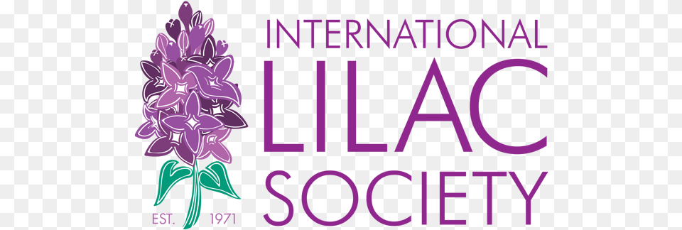 International Lilac Society If It Involves A Bra, Art, Graphics, Purple, Dahlia Png