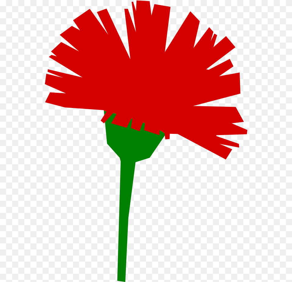 International Workers Day 1st May, Daisy, Flower, Plant, Carnation Free Transparent Png