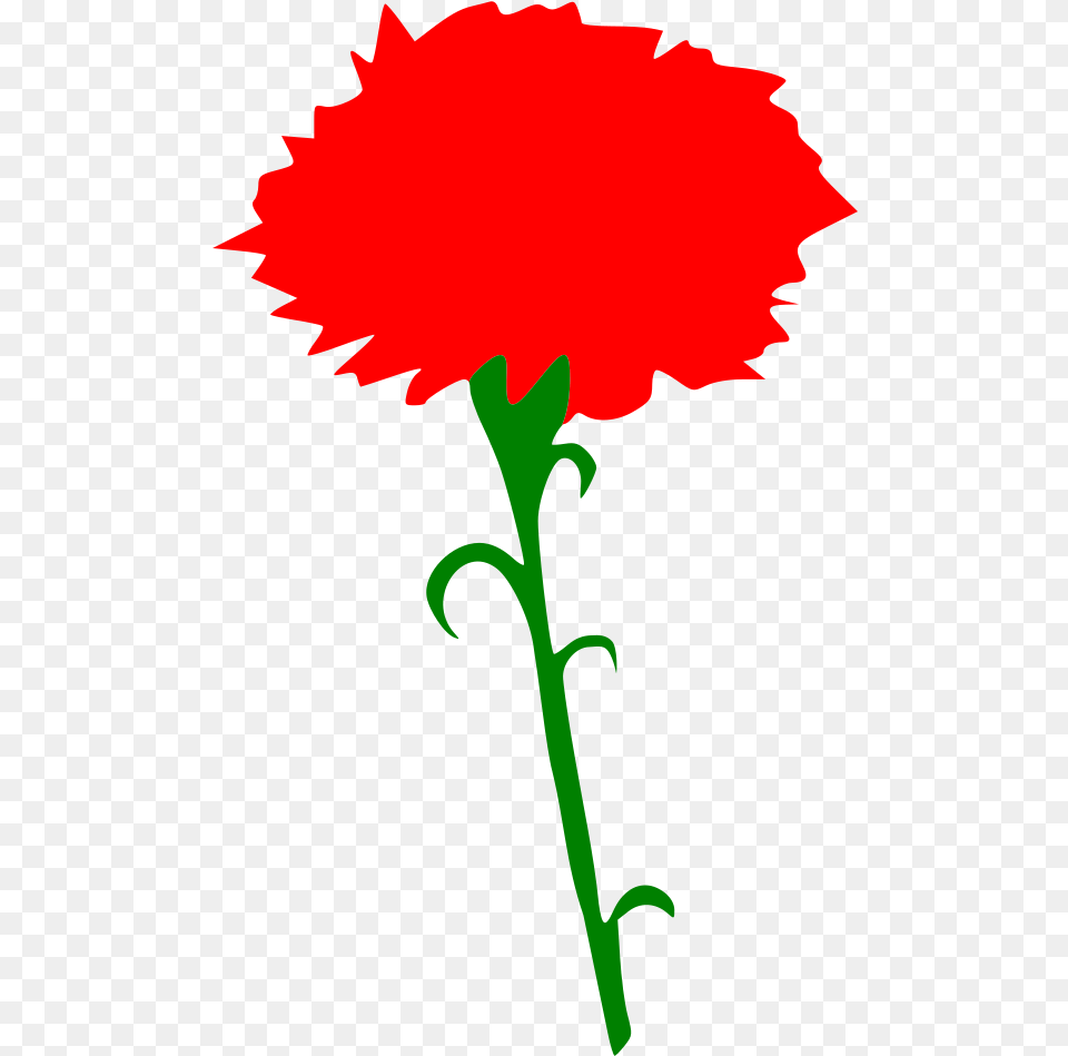 International Working Women S Day Red Carnation Clipart, Flower, Plant, Person Png Image