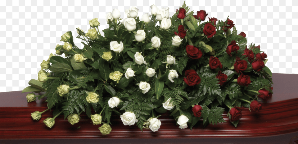 Interose Double Ended Red White Yellow Roses Rose, Flower, Flower Arrangement, Flower Bouquet, Plant Png
