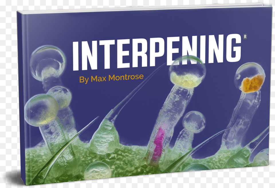 Interpening Book, Animal, Sea Life, Invertebrate, Jellyfish Free Png Download