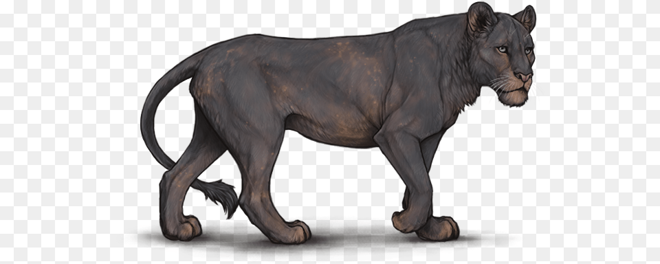 Interstellar Lioden, Animal, Mammal, Panther, Wildlife Free Png