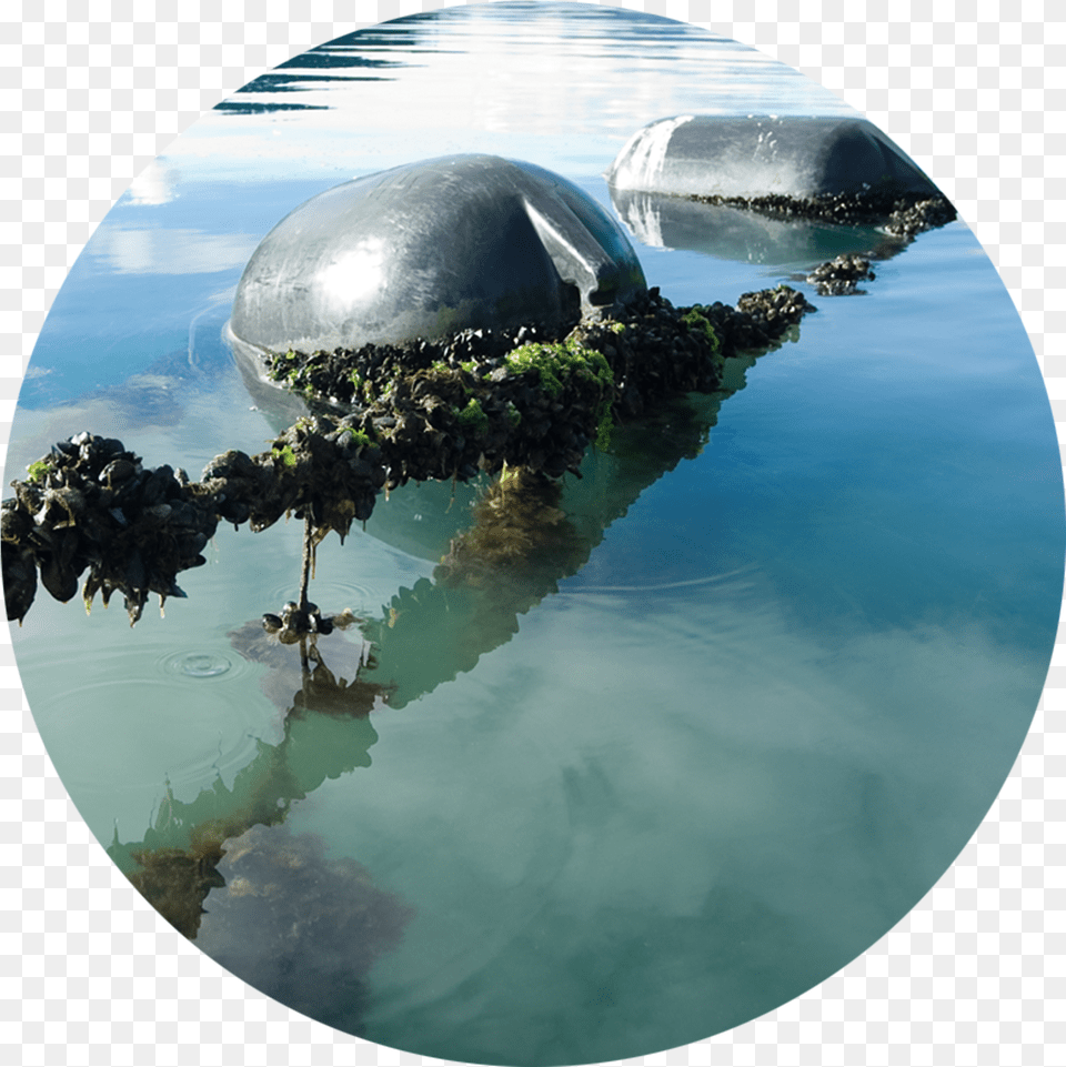 Interview With Kono Ceo Rachel Taulelei, Photography, Sphere, Nature, Outdoors Png Image