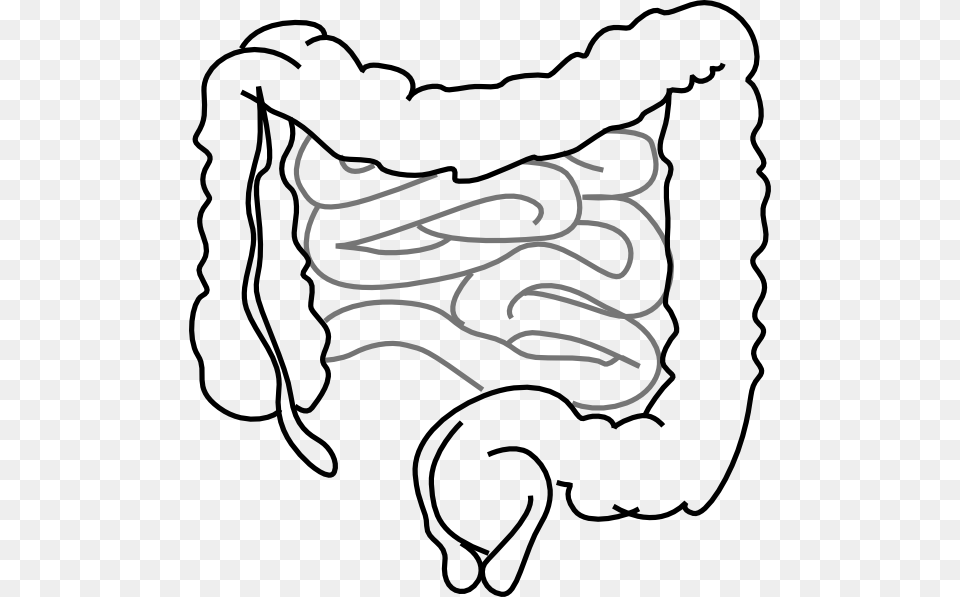 Intestinal Clipart, Baby, Person, Bag, Text Png Image