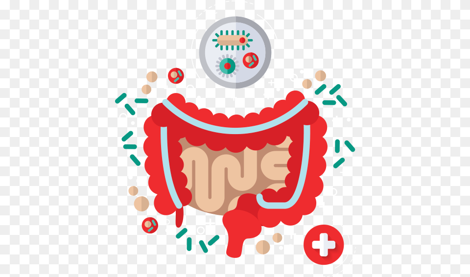 Intestinal Health Infographic Health, Dynamite, Weapon, Logo Free Png