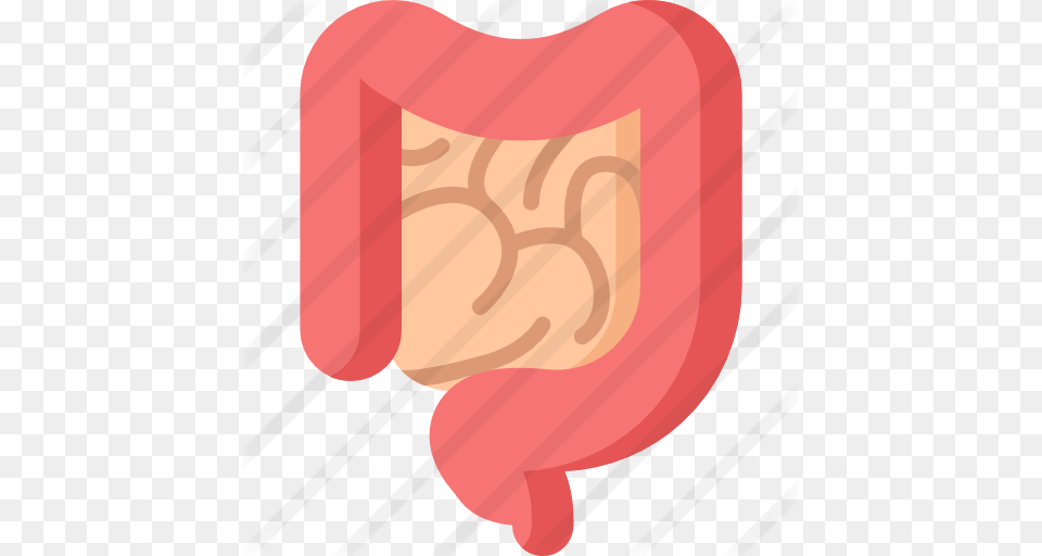 Intestine, Baby, Person Free Png