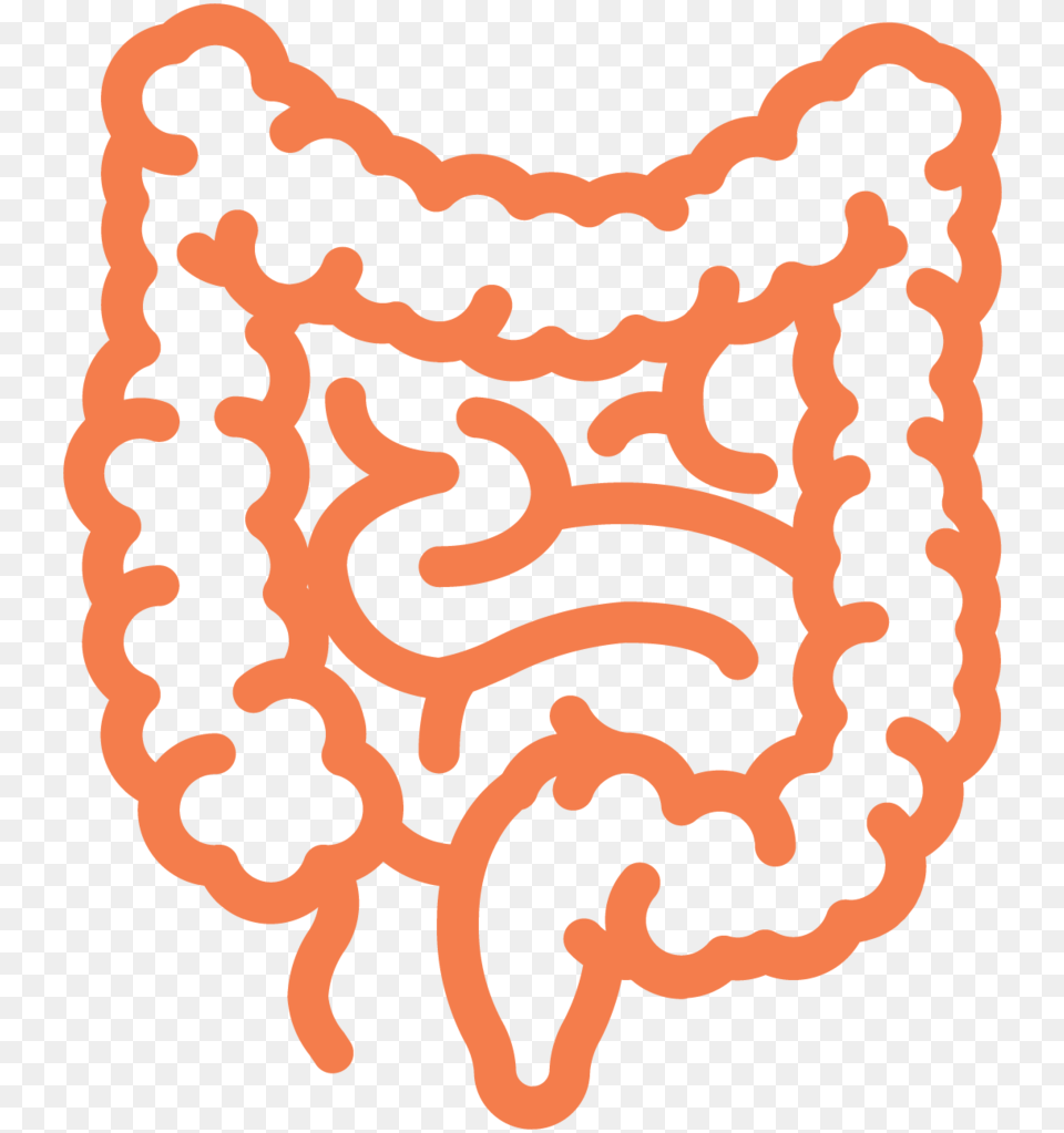 Intestine Ecm Cell Culture Substrates Intestines Icon, Pattern, Home Decor Free Png Download