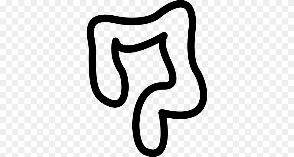 Intestine Icon, Gray Png Image