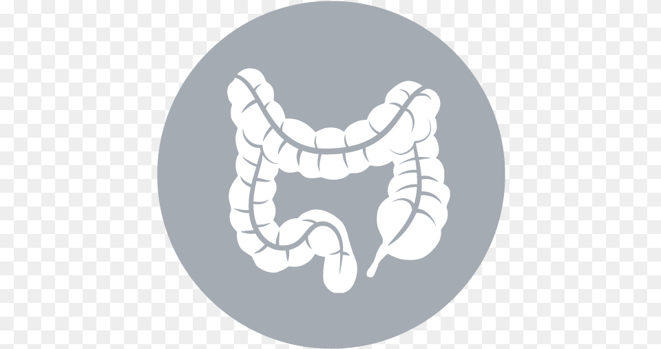 Intestine Icon Image, Body Part, Mouth, Person, Teeth Free Png Download