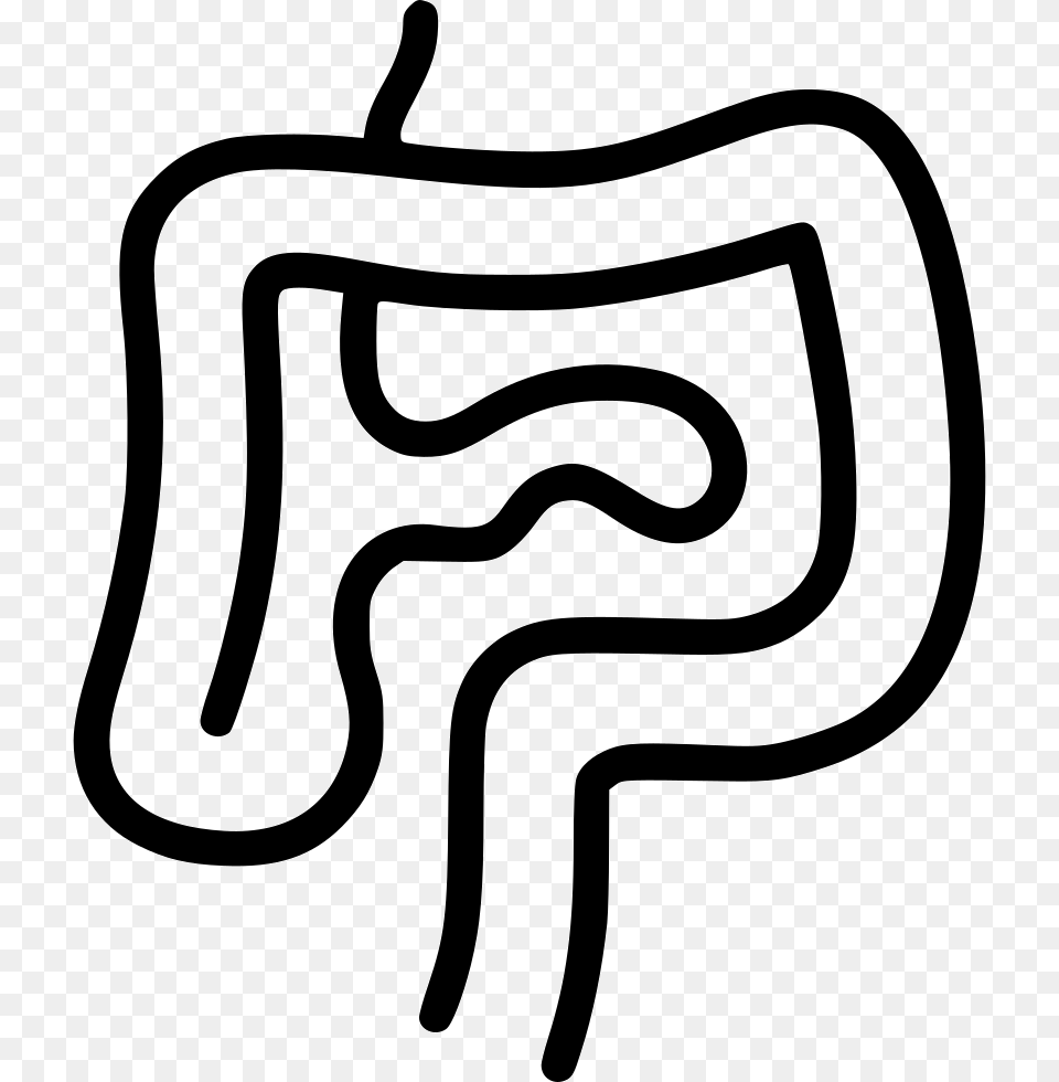 Intestines Digestion Gastroenterology Internal Organs Organ, Text, Bow, Stencil, Weapon Free Transparent Png
