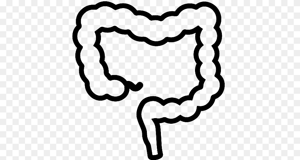 Intestines Medical Organ Icon With And Vector Format, Gray Free Png