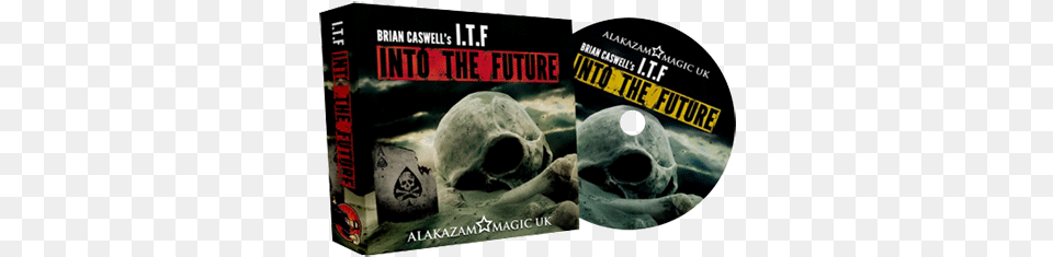 Into The Future By Brian Caswell And Alakazam Magic Mms Into The Future By Brian Caswell, Animal, Bear, Mammal, Wildlife Free Png