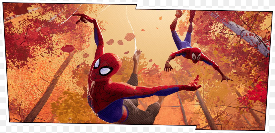 Into The Spider Verse Movie Photo Spider Man Into The Spider Verse Beautiful Shots, Person, Plant, Tree, Leaf Png Image