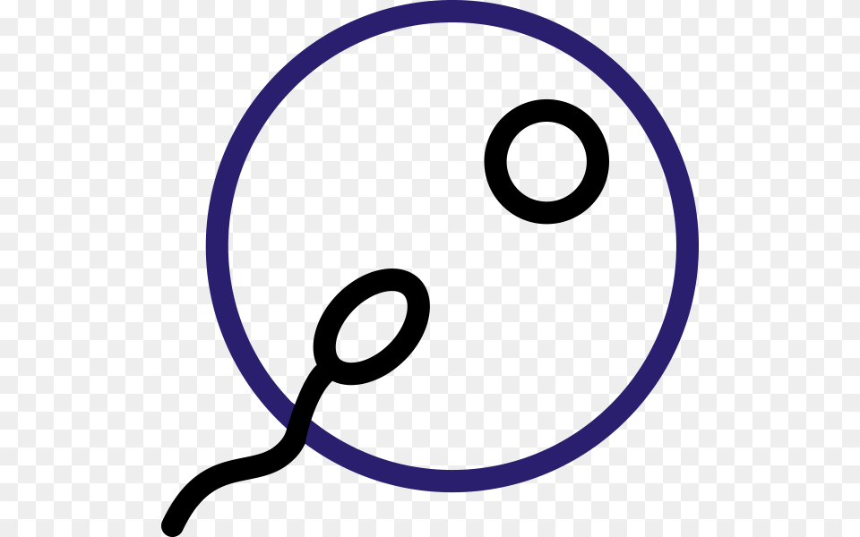 Intracytoplasmic Sperm Injection Icon, Hoop Free Transparent Png