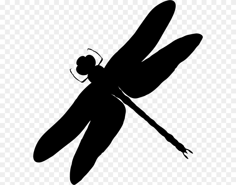 Intricate Dragonfly Silhouette Black And White Dragonfly Silhouettes, Gray Free Png Download