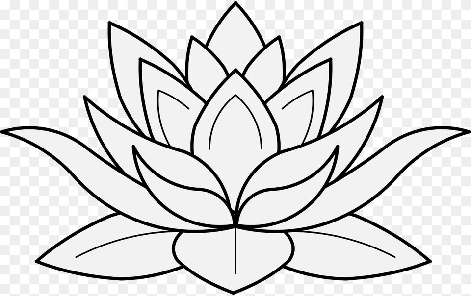 Intricate Drawing Lotus Flower Transparent Clipart Lotus Flower Black And White, Leaf, Plant, Stencil, Animal Png