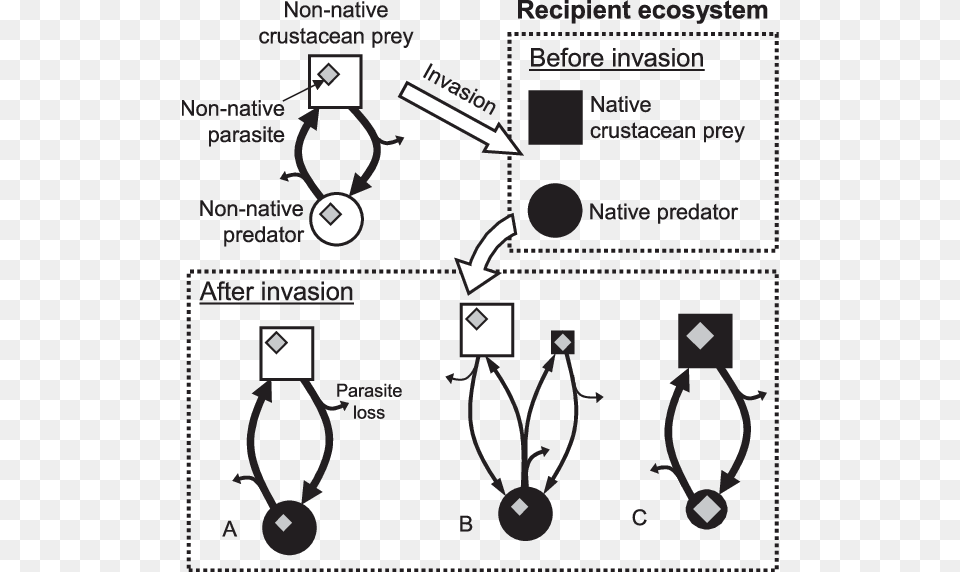 Introduced Parasites E Nativeintroduced Hosts Parasitism, Chart, Plot, Person, Diagram Png