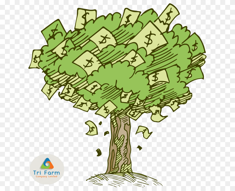Introducing Our Newest Product Money Tree Money Tree Cartoon Money Background, Plant, Green, Art, Person Free Transparent Png