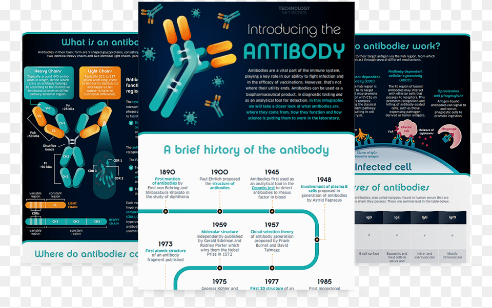 Introducing The Antibody Vertical, Advertisement, Poster Free Transparent Png