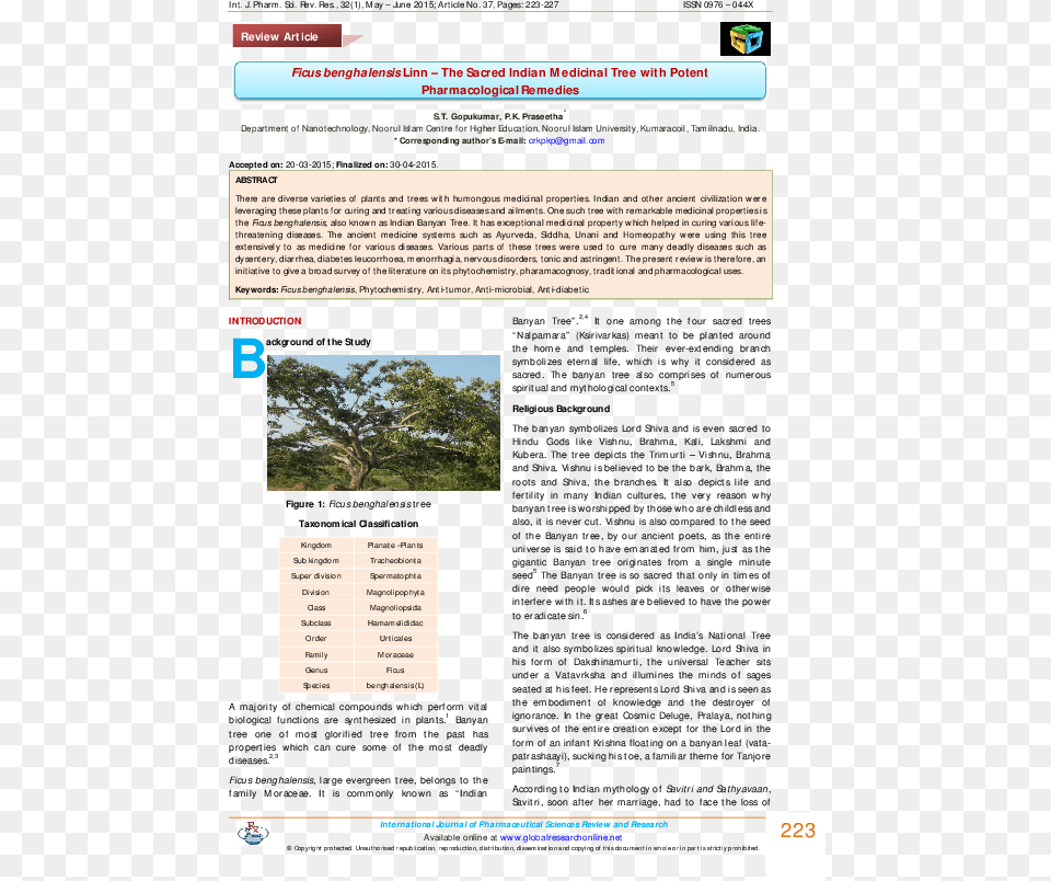 Introduction Of Banyan Tree, File, Page, Text, Webpage Free Png Download