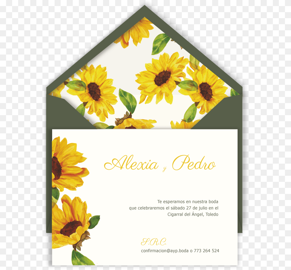 Inv Flores Amarillas Sb Verde Sunflower, Advertisement, Poster, Flower, Plant Png Image